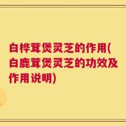 白桦茸煲灵芝的作用(白鹿茸煲灵芝的功效及作用说明)