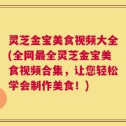 灵芝金宝美食视频大全(全网最全灵芝金宝美食视频合集，让您轻松学会制作美食！)
