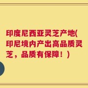 印度尼西亚灵芝产地(印尼境内产出高品质灵芝，品质有保障！)