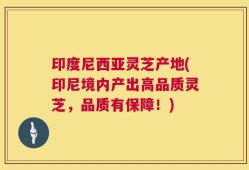 印度尼西亚灵芝产地(印尼境内产出高品质灵芝，品质有保障！)