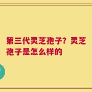 第三代灵芝孢子？灵芝孢子是怎么样的