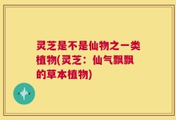 灵芝是不是仙物之一类植物(灵芝：仙气飘飘的草本植物)