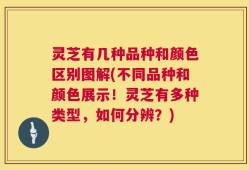 灵芝有几种品种和颜色区别图解(不同品种和颜色展示！灵芝有多种类型，如何分辨？)