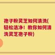 孢子粉灵芝如何清洗(轻松洁净！教你如何清洗灵芝孢子粉)