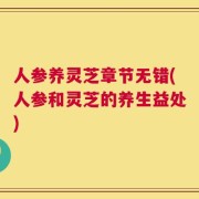 人参养灵芝章节无错(人参和灵芝的养生益处)