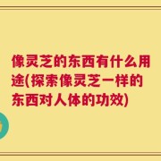 像灵芝的东西有什么用途(探索像灵芝一样的东西对人体的功效)