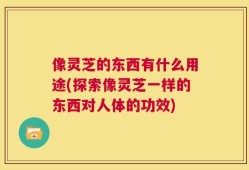 像灵芝的东西有什么用途(探索像灵芝一样的东西对人体的功效)