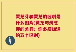 灵芝芽和灵芝的区别是什么图片(灵芝与灵芝芽的差异：你必须知道的五个区别)