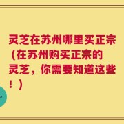 灵芝在苏州哪里买正宗 (在苏州购买正宗的灵芝，你需要知道这些！)