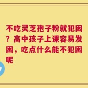 不吃灵芝孢子粉就犯困？高中孩子上课容易发困，吃点什么能不犯困呢