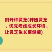 封开种灵芝(种植灵芝，优先考虑成长环境，让灵芝生长更健康)
