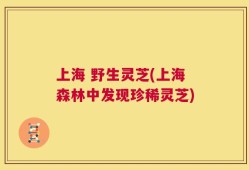 上海 野生灵芝(上海森林中发现珍稀灵芝)