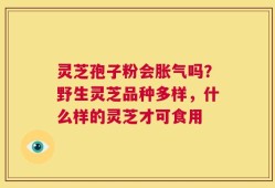 灵芝孢子粉会胀气吗？野生灵芝品种多样，什么样的灵芝才可食用