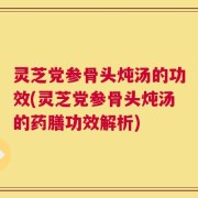 灵芝党参骨头炖汤的功效(灵芝党参骨头炖汤的药膳功效解析)