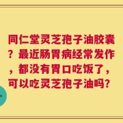 同仁堂灵芝孢子油胶囊？最近肠胃病经常发作，都没有胃口吃饭了，可以吃灵芝孢子油吗？