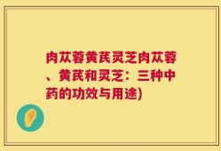 肉苁蓉黄芪灵芝肉苁蓉、黄芪和灵芝：三种中药的功效与用途)