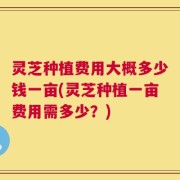 灵芝种植费用大概多少钱一亩(灵芝种植一亩费用需多少？)