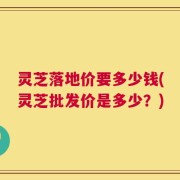 灵芝落地价要多少钱(灵芝批发价是多少？)