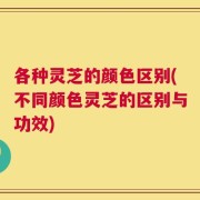 各种灵芝的颜色区别(不同颜色灵芝的区别与功效)