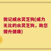 微记威水灵芝狗(威力无比的水灵芝狗，助您提升健康)