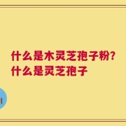 什么是木灵芝孢子粉？什么是灵芝孢子