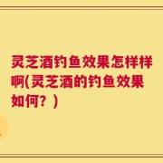 灵芝酒钓鱼效果怎样样啊(灵芝酒的钓鱼效果如何？)