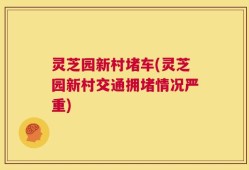 灵芝园新村堵车(灵芝园新村交通拥堵情况严重)