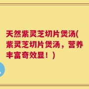 天然紫灵芝切片煲汤(紫灵芝切片煲汤，营养丰富奇效显！)