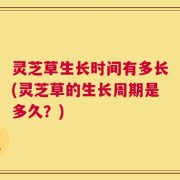 灵芝草生长时间有多长(灵芝草的生长周期是多久？)