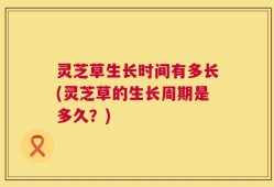 灵芝草生长时间有多长(灵芝草的生长周期是多久？)