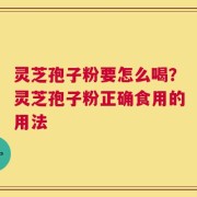 灵芝孢子粉要怎么喝？灵芝孢子粉正确食用的用法
