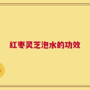 红枣灵芝泡水的功效