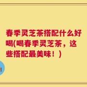 春季灵芝茶搭配什么好喝(喝春季灵芝茶，这些搭配最美味！)
