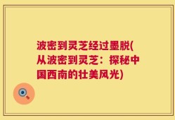 波密到灵芝经过墨脱(从波密到灵芝：探秘中国西南的壮美风光)