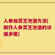 人参加灵芝泡酒方法(制作人参灵芝泡酒的详细步骤)