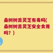 桑树树舌灵芝有毒吗(桑树树舌灵芝安全食用吗？)