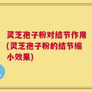 灵芝孢子粉对结节作用(灵芝孢子粉的结节缩小效果)