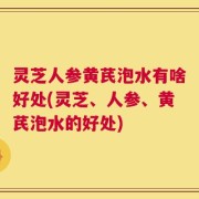 灵芝人参黄芪泡水有啥好处(灵芝、人参、黄芪泡水的好处)
