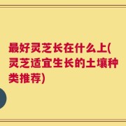最好灵芝长在什么上(灵芝适宜生长的土壤种类推荐)