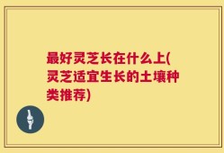 最好灵芝长在什么上(灵芝适宜生长的土壤种类推荐)