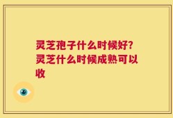 灵芝孢子什么时候好？灵芝什么时候成熟可以收