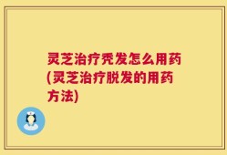 灵芝治疗秃发怎么用药(灵芝治疗脱发的用药方法)