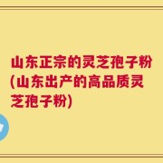 山东正宗的灵芝孢子粉(山东出产的高品质灵芝孢子粉)