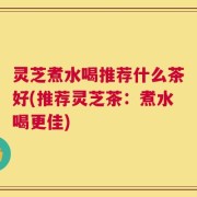 灵芝煮水喝推荐什么茶好(推荐灵芝茶：煮水喝更佳)