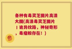 各种有毒灵芝图片高清大图(高清毒灵芝图片丨诡异纹路，神秘奇形，毒瘤般存在！)