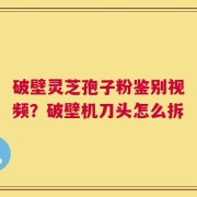 破壁灵芝孢子粉鉴别视频？破壁机刀头怎么拆