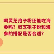 喝灵芝孢子粉还能吃海参吗？灵芝孢子粉和海参的搭配是否合适？