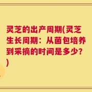 灵芝的出产周期(灵芝生长周期：从菌包培养到采摘的时间是多少？)