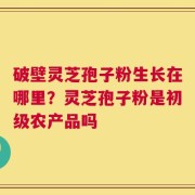 破壁灵芝孢子粉生长在哪里？灵芝孢子粉是初级农产品吗