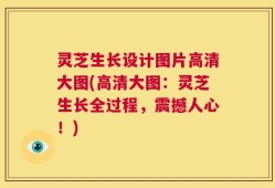 灵芝生长设计图片高清大图(高清大图：灵芝生长全过程，震撼人心！)